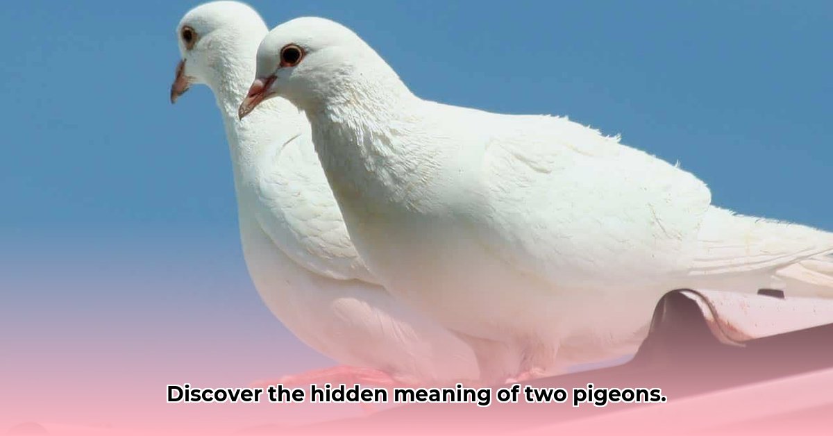 2-pigeons-meaning